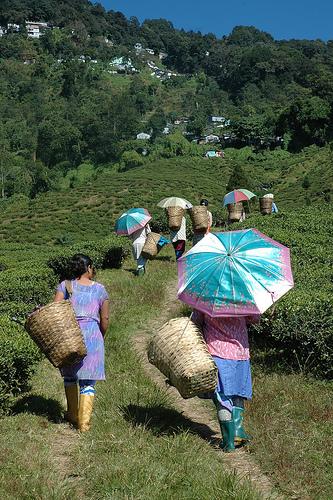 Je m’appelle Aishwariya, j’ai 37 ans…