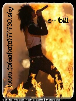 Photo 6269 Photo 6269