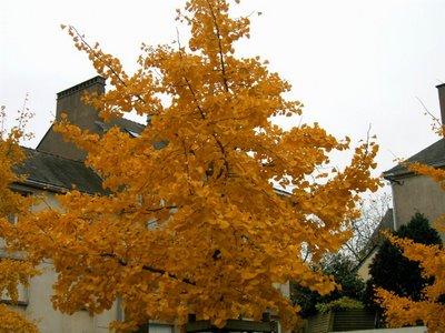 en direct de mon canapé je les sentais vibrer
