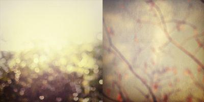 TREVERHOEHNE-05.jpg, nov 2008 TREVERHOEHNE-05.jpg