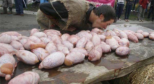 Hunterville Huntaway Festival Hunterville Huntaway Festival