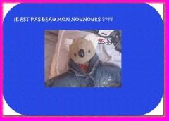 Concours Doudous Manu-Nounours2.jpg