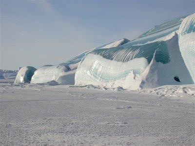 Antarctic