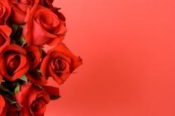 Deux portes défoncées pour offrir des fleurs bouquet de roses