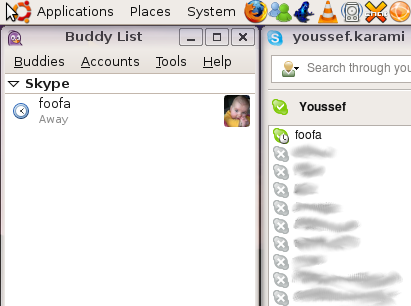 Skype API 2