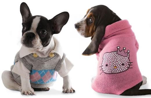 Où il est question de comprendre sa femme ! vetements_chiens.jpg