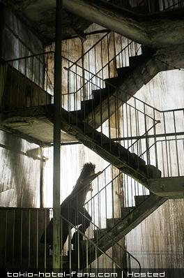 Photo 6338 Photo 6338