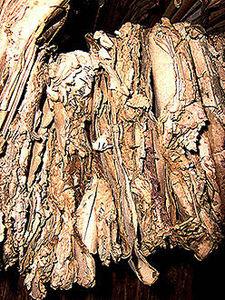 L'info-doc en photos d_mat_rialisation___l_ancienne