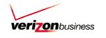 Verizon lance OHSS