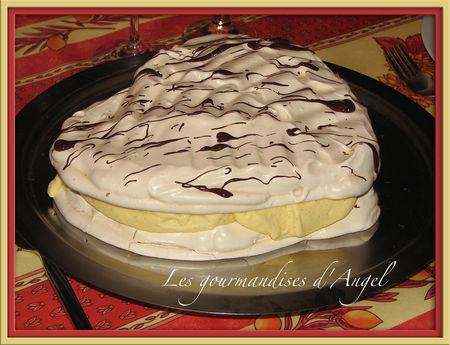 gateau-glace-vanille-L-1.jpeg