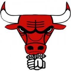 Logo PS Bull.jpg