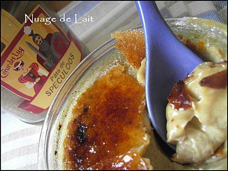 Crèmes Brûlées Spéculoos VVV1108_010