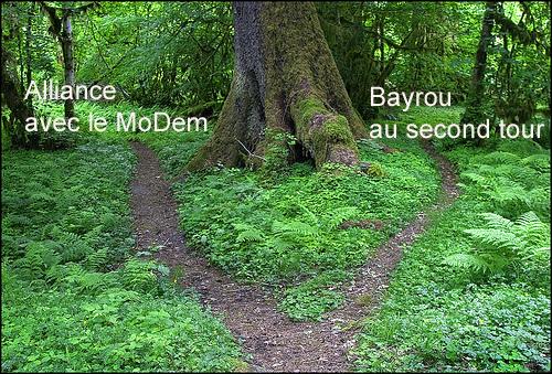 Bayrou au second tour en 2012 arbre.1227337488.jpg