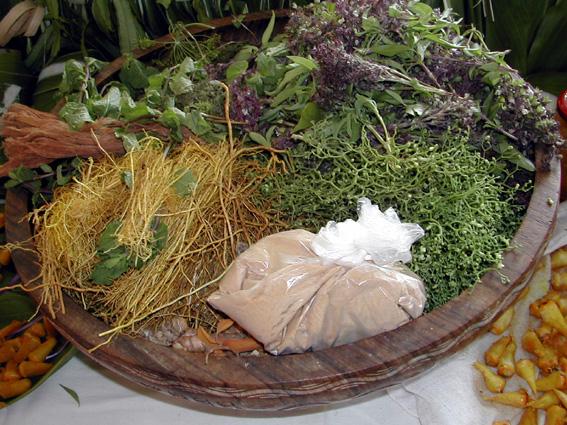 Salon du monoï à Tahiti philtre-amour-tahiti-1929.1227439068.JPG