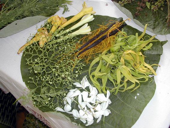 Salon du monoï à Tahiti philtre-amour-tahiti-1935.1227439091.JPG