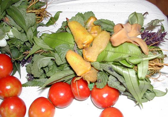 Salon du monoï à Tahiti pomme-amour-tahiti-1931.1227439109.JPG