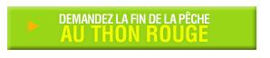 bouton1