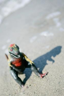 Un arbre ressemblant à Godzilla enflamme les médias japonais -Vidéo- godzilla plage