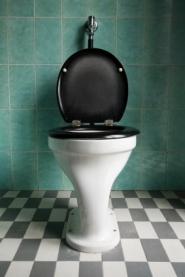 Sondage : que font les gens aux toilettes ? toilettes