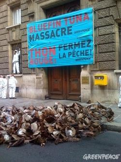 France : Greenpeace déverse cinq tonnes de têtes de thon devant le ministère pour inciter à la fermeture de la pêche manifestation Greenpeace