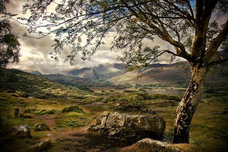 Lady views-Keryy, Irlande