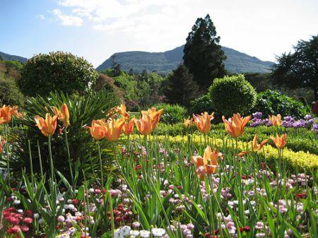 Muckross House-Garden