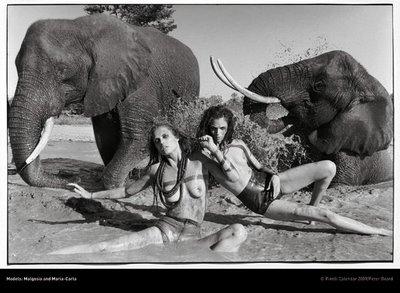 Calendrier Pirelli 2009