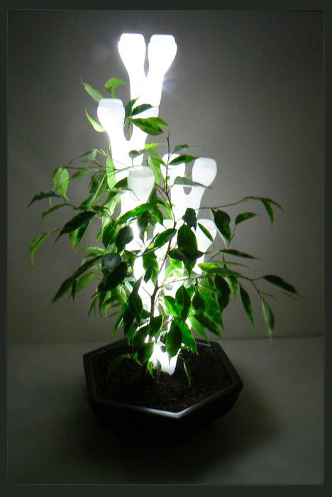 IVY light, lampe pour plante