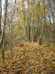 Un autre chemin (MBBS) 082