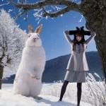 Manoush, ma marque préférée