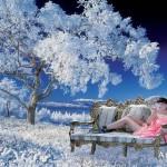 Manoush, ma marque préférée