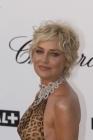 En mai 2008, les joues plus rondes, Sharon Stone a misé sur les petites vagues blondes qui la vieillissent beaucoup