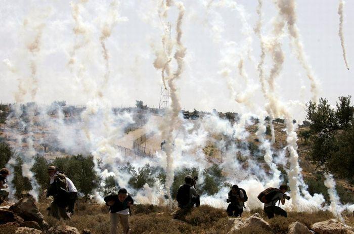 AFP meilleures photos de l’année 2008