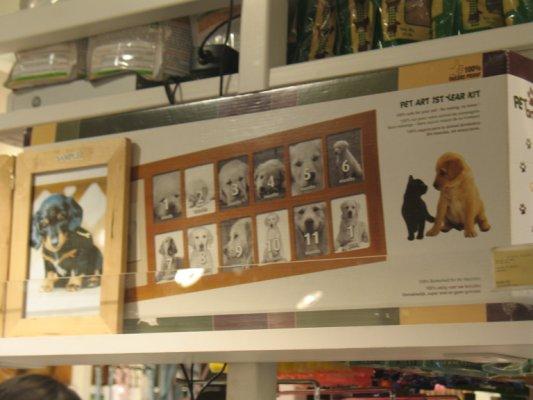 Nos amis les bêtes... Novembre2008_ 449