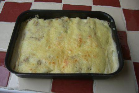 canelloni4, nov. 2008