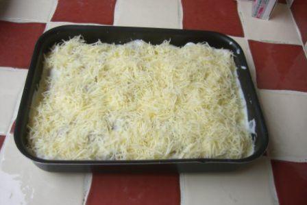 canelloni3, nov. 2008