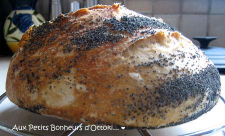 Petite miche de pain sur poolish Miche3