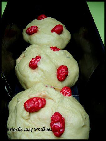 Brioche aux pralines briochepraline