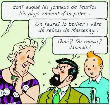 Lés jonnaus de teurtos lés pays bijoux.jpg