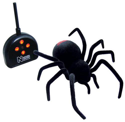 Un court prologue, pour vous inciter ?? taper DON par SMS... Rc_black_widow_spider