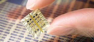La puce qui prend garde à votre santé MicroCHIPS