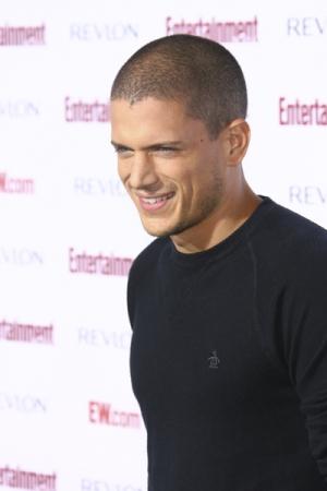 Wentworth Miller : Wentworth Miller