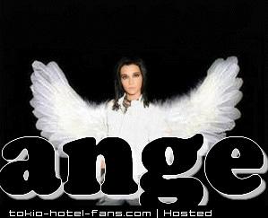 Photo 6482 Photo 6482