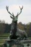 Photo Album: CHANTILLY Photo Album: CHANTILLY