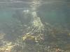 Underwater au Kuendu beach IMG_4060