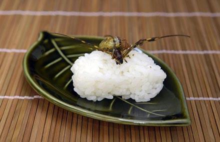Sushis aux insectes