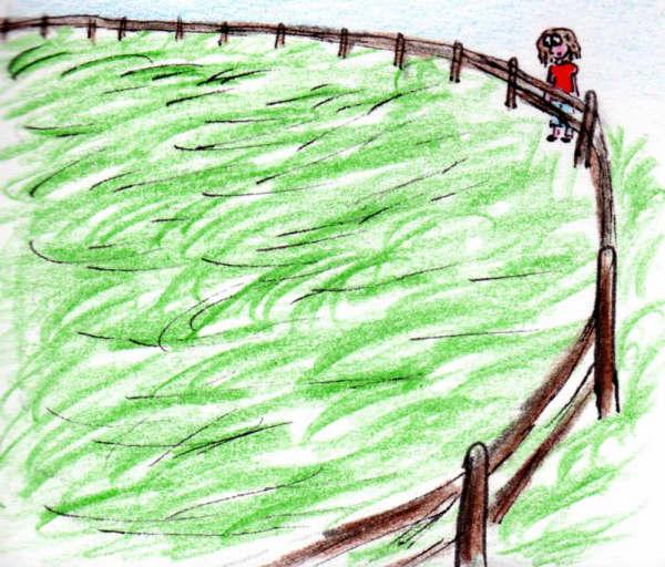 Lola et le grand pré bien vide Lola et le grand pré bien vide