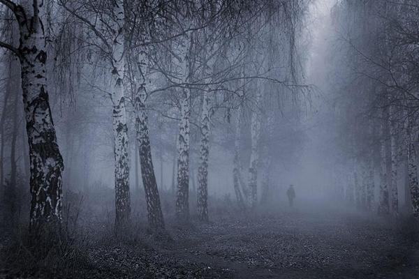 Misty lane, lonely walker - Denis Korshunov.jpg