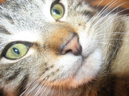 Rater une pizza et un dessert, ça c'est fait ! IMG_7473