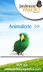 Jardinerie Pasero: Jardinerie Pasero: